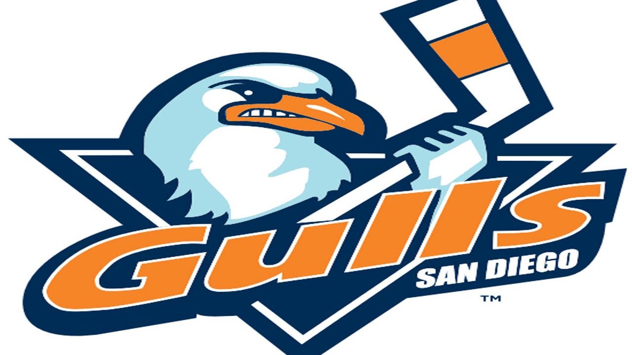 New San Diego Pro Hockey Team to Keep 