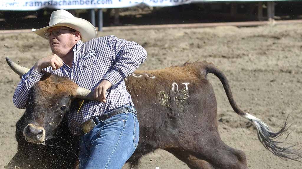Barrels of Fun in Ramona: Rodeo Highlights in Photos - Times of San Diego