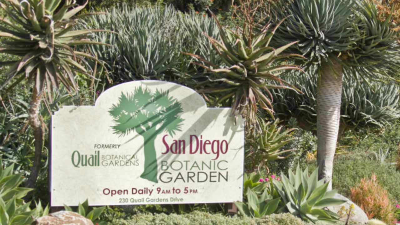 June Events And Classes At Sd Botanic Garden In Encinitas Times
