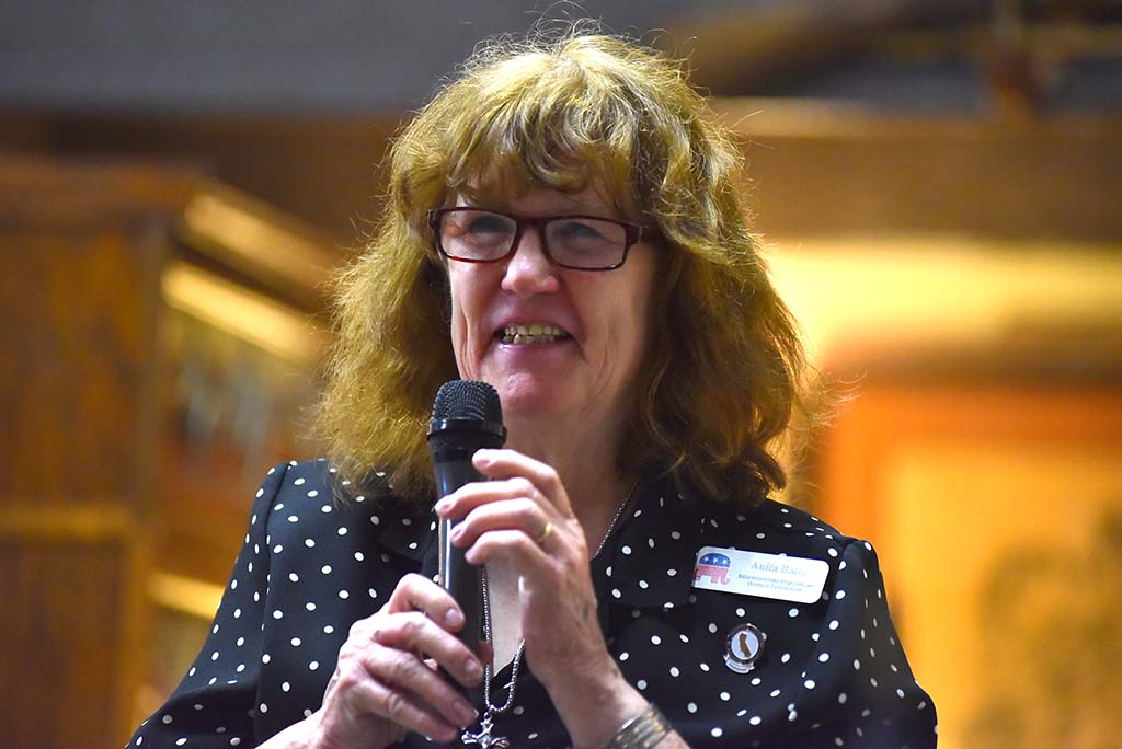 Club President Anita Bales oversaw meeting that honored military veterans.