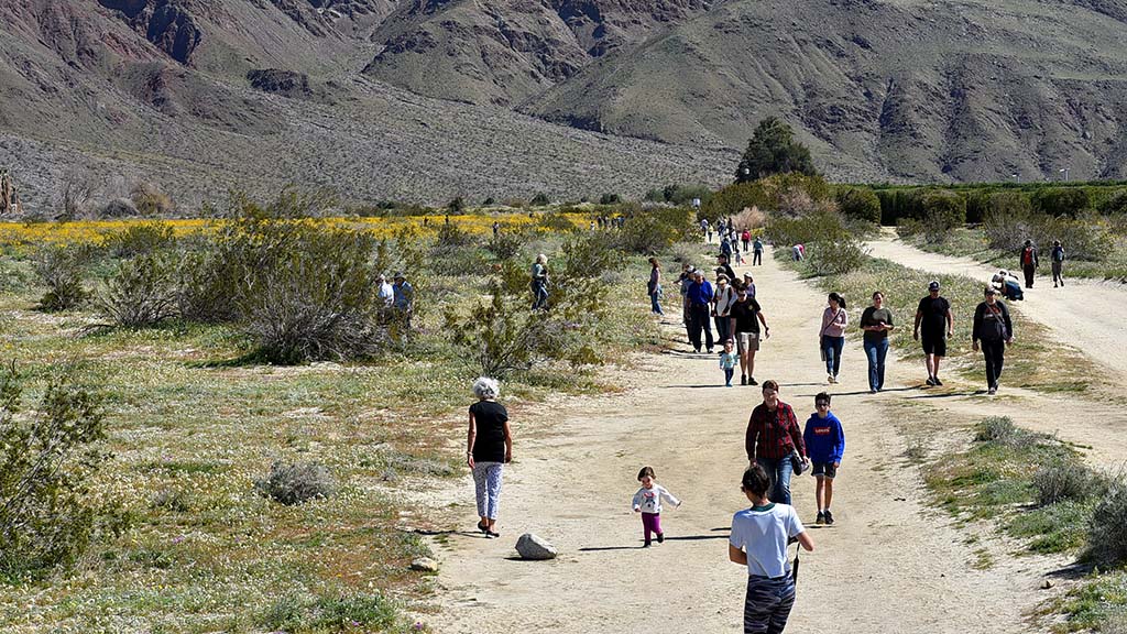 Vote for the Best of California&rsquo;s State Parks 2026, including favorites from San Diego County