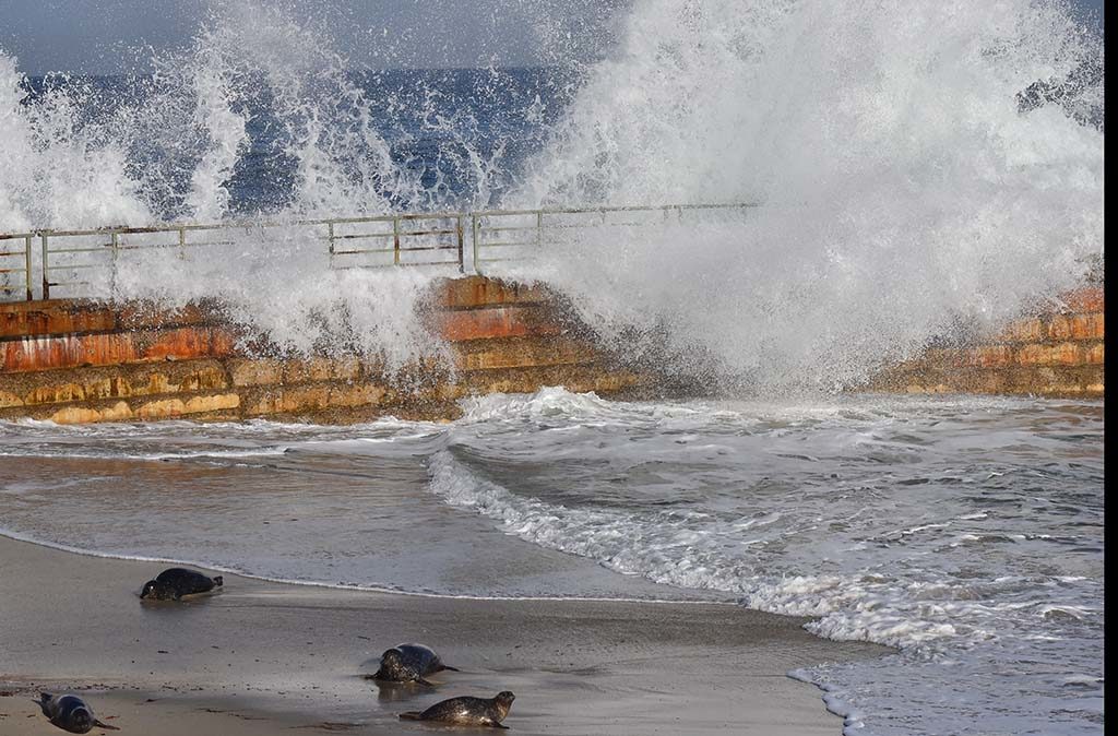 King Tides Captured in La Jolla, Caused Minor Flooding in National City