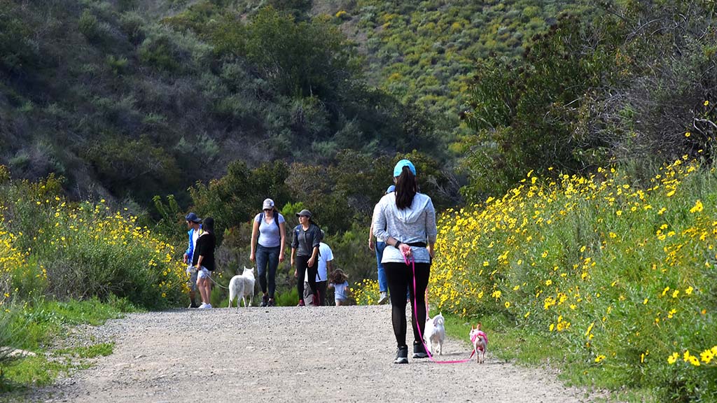 Mission Gorge Regional Park was a popular site for people to exercise amid coronavirus restrictions.