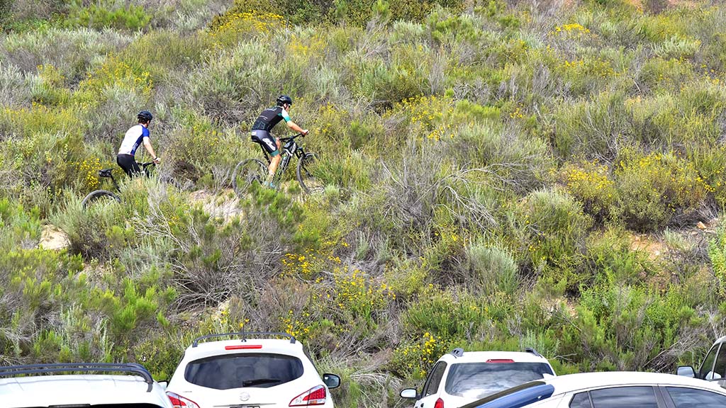Captan un león de montaña cerca de sendero para caminatas y ciclismo en Mission Trails Regional Park Captan un león de montaña cerca de sendero para caminatas y ciclismo en Mission Trails Regional Park