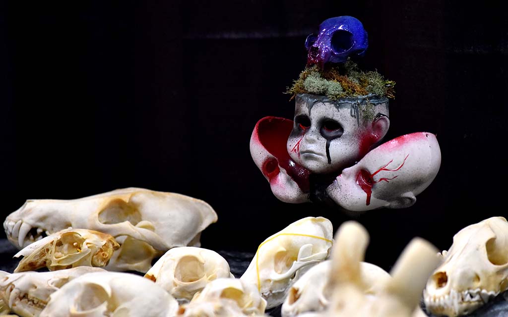 Strange finds await at Oddities and Curiosities Expo in Del Mar