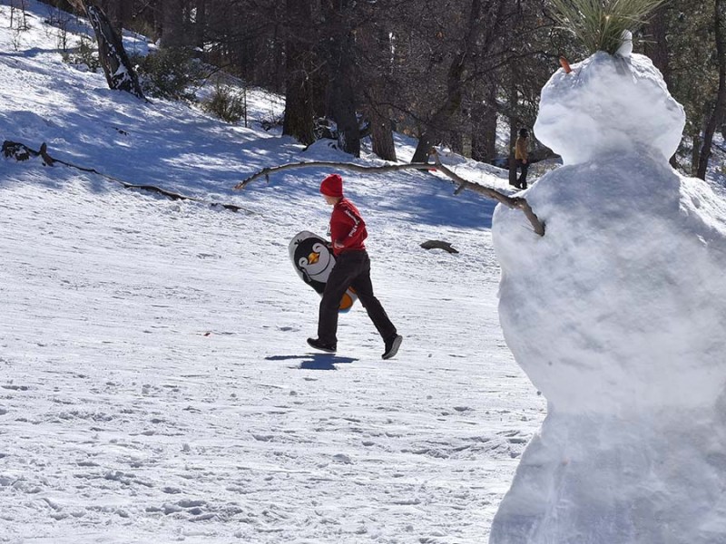 Hundreds of people took a midweek break between storms to enjoy the snow at Mt. Laguna.