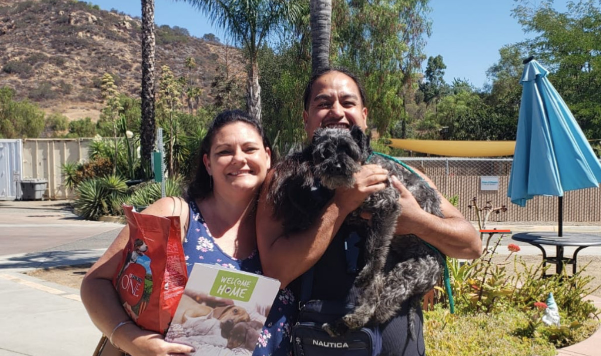 200-Plus Pets Find Forever Homes During Humane Society's Clear the ...