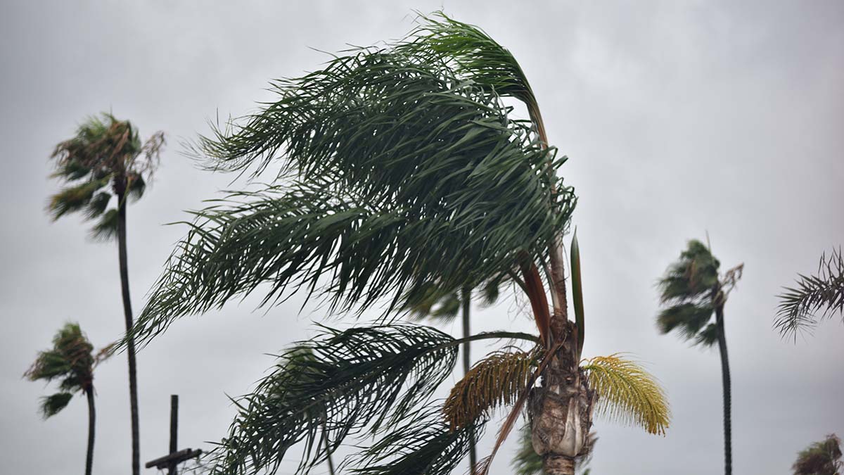 Colder, Windy Weather on Tap as Storm System Moves into Region - Times of  San Diego