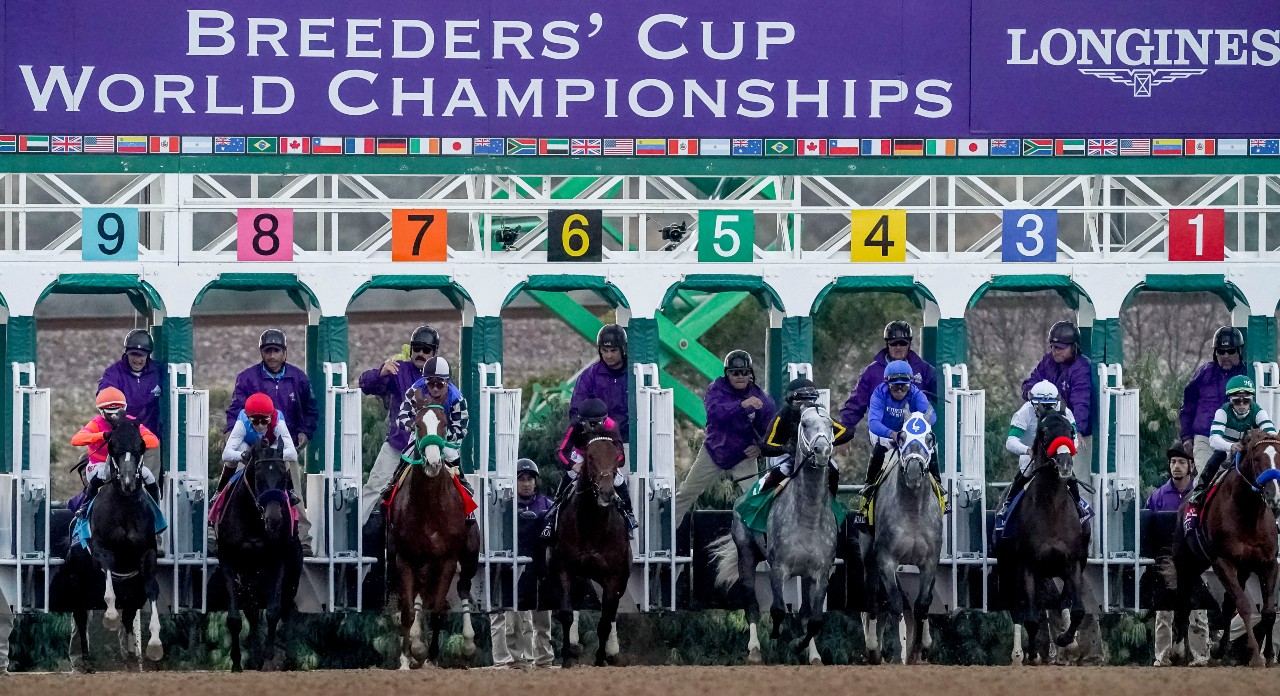 Del Mar to Host 2024 Breeders' Cup, Horse Racing's Global Championship - Times of San Diego