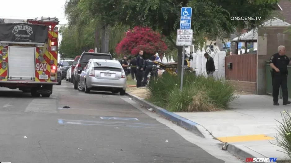 Suspect Arrested After Woman, 65, Stabbed to Death in Random Attack at