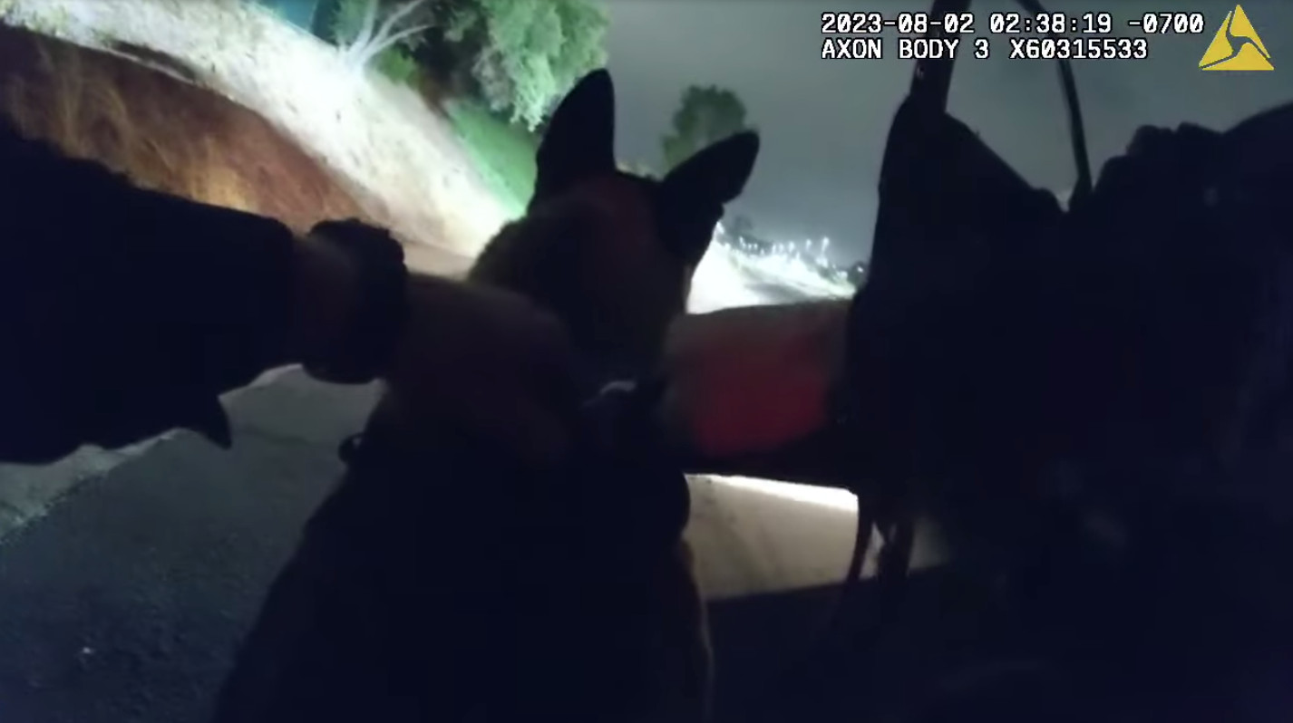 SDPD Offers Narrative, Body-Cam Footage in Fatal OIS of Man Suspected of Killing Police Dog - Vimarsana News