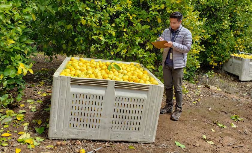 State officials issue new citrus quarantine in northern San Diego County State officials issue new citrus quarantine in northern San Diego County
