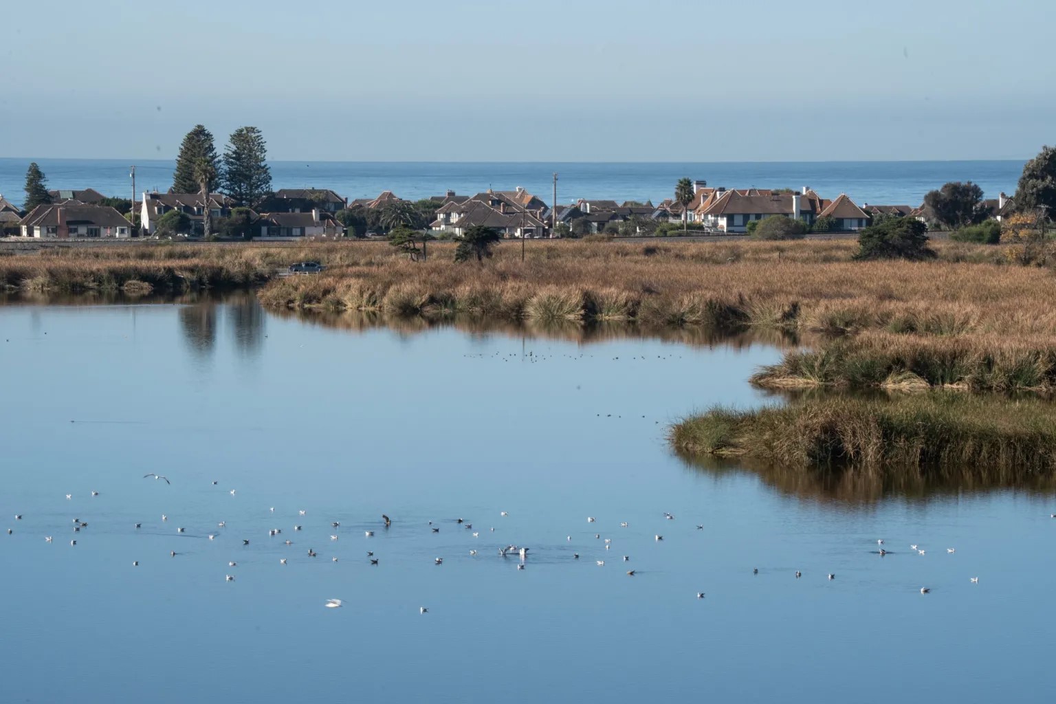 Carlsbad homeowner takes Coastal Commission to court over $2.4 million fine