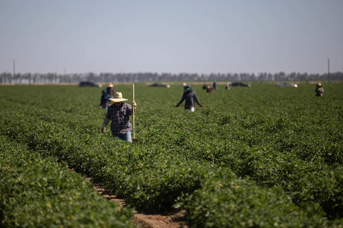 California&rsquo;s migrant workers are avoiding medical clinics