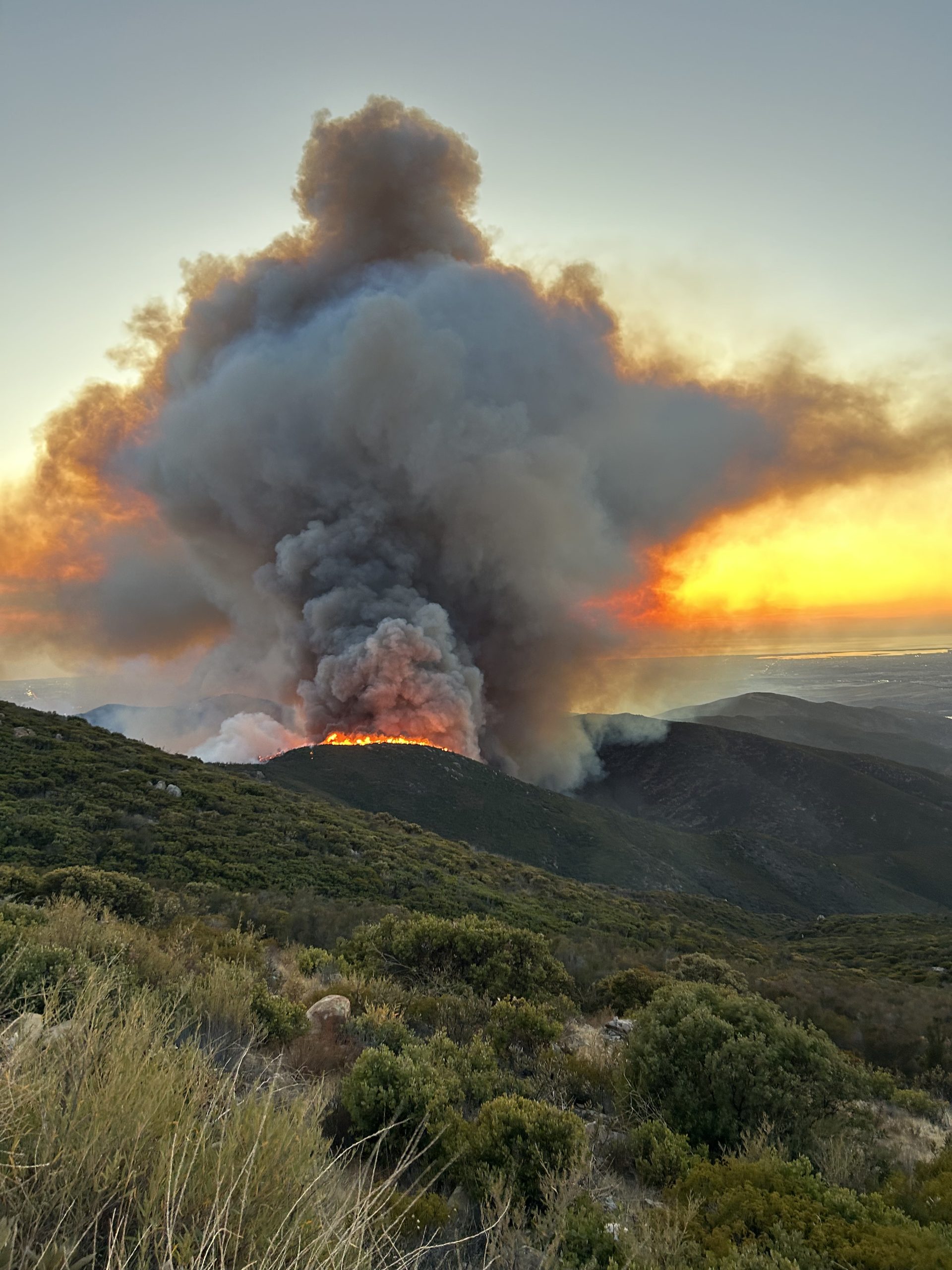 06.04.26. WhatsApp:? Incendio forestal cruza la frontera