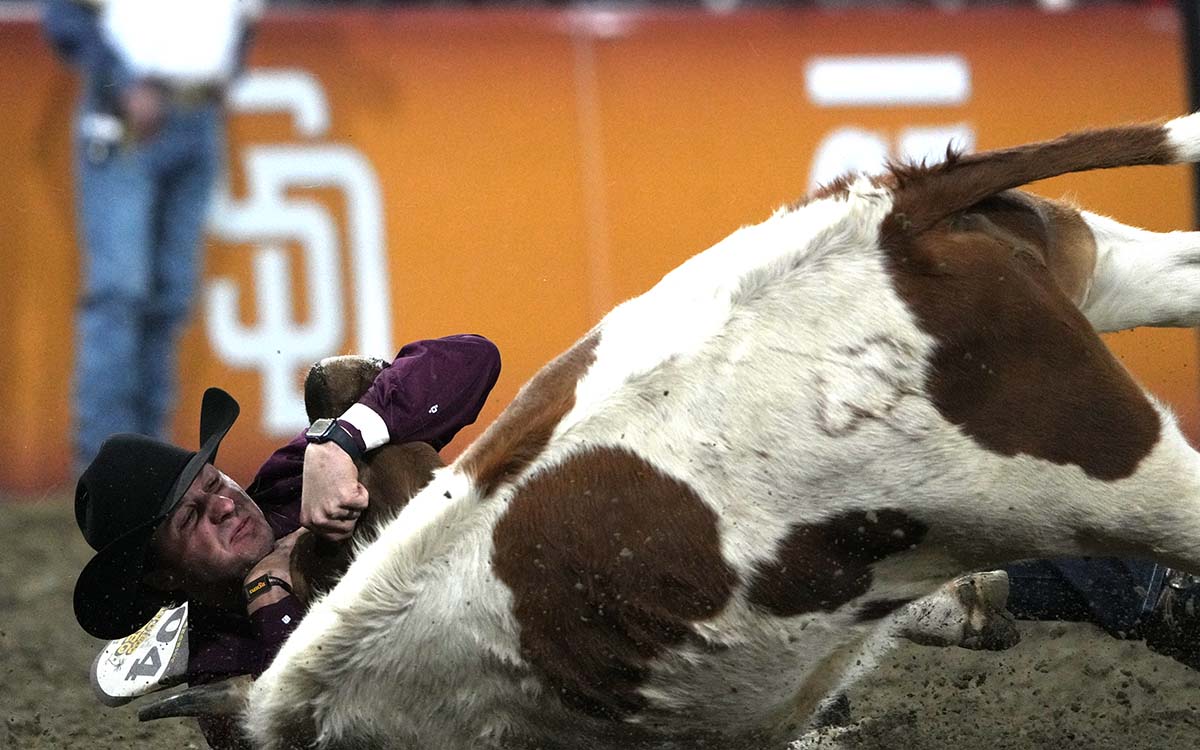 Opinion: Rodeos don’t belong in 2026 — not in San Diego, not anywhere