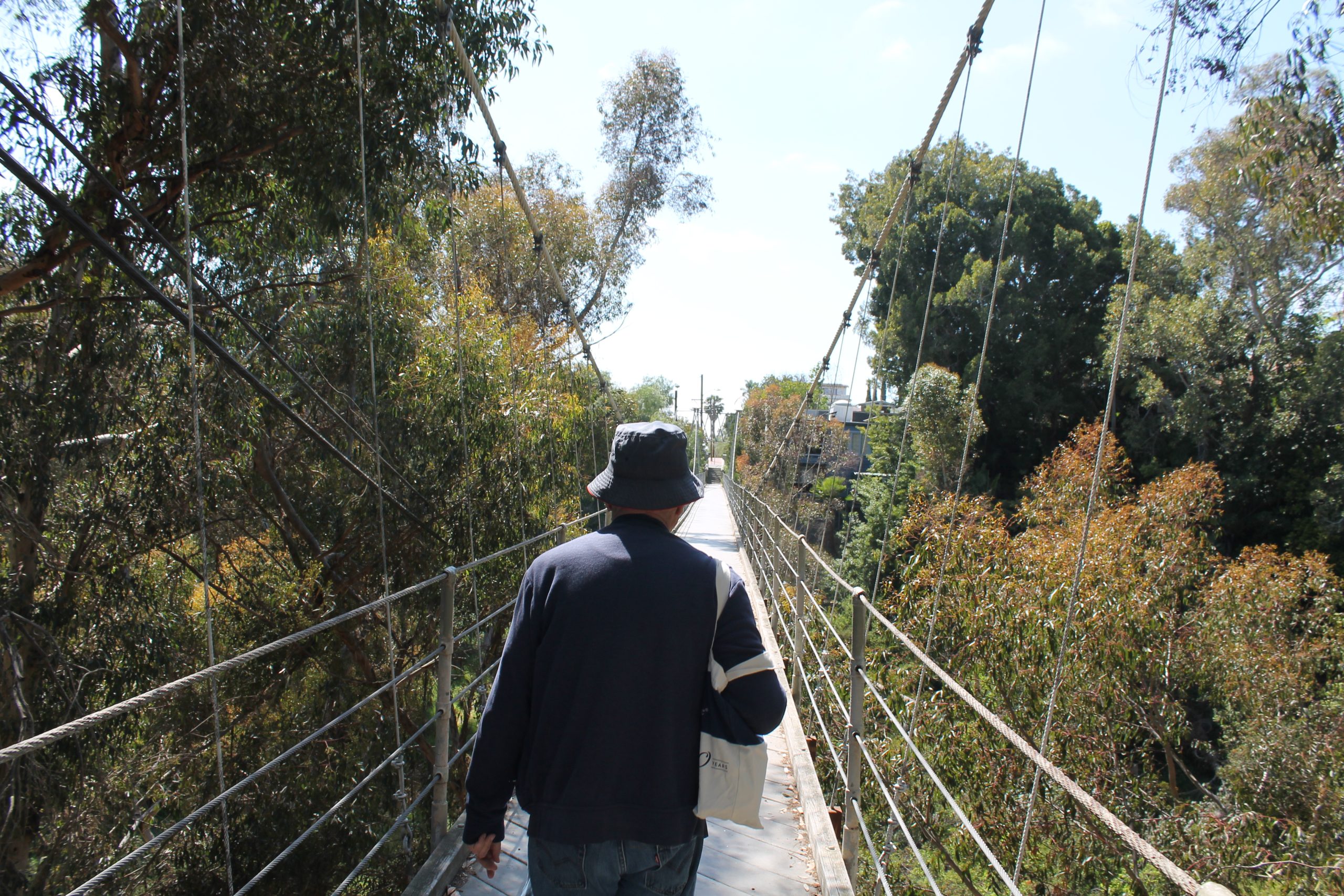 &lsquo;Happy Tree Walks&rsquo; pilot program aims to boost interest in urban forests