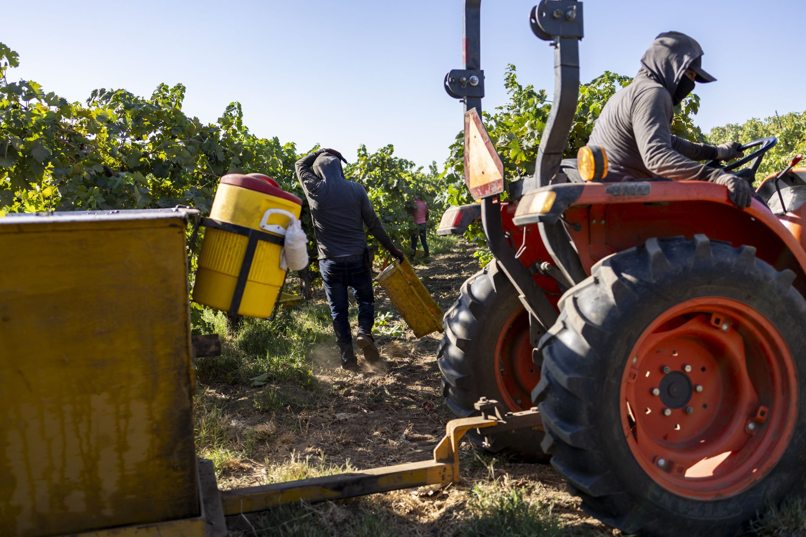 San Diego County unemployment drops to 4.6% in November as numbers delayed San Diego County unemployment drops to 4.6% in November as numbers delayed