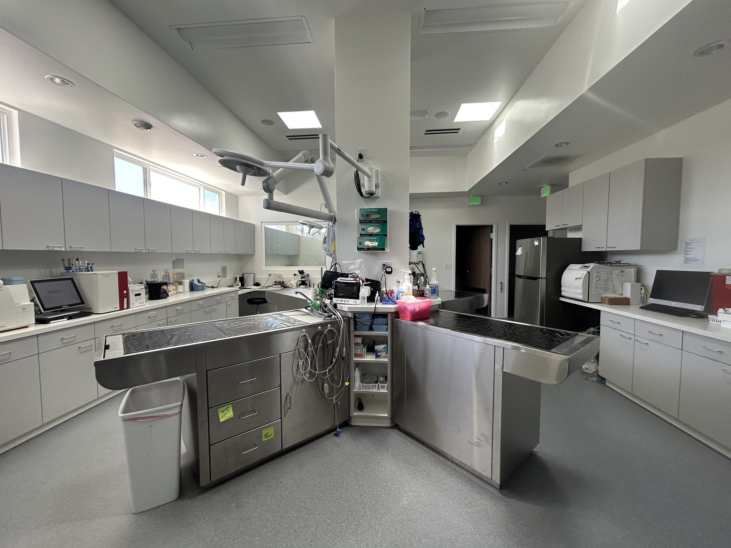 Frosted Faces Foundation opens veterinary center for senior pets in Ramona