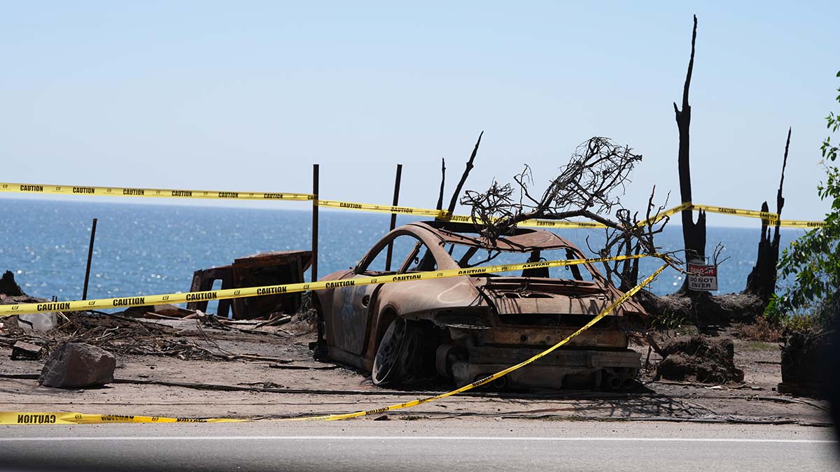 One-year later: Remembering the tragic Palisades and Eaton fires in 11 numbers One-year later: Remembering the tragic Palisades and Eaton fires in 11 numbers