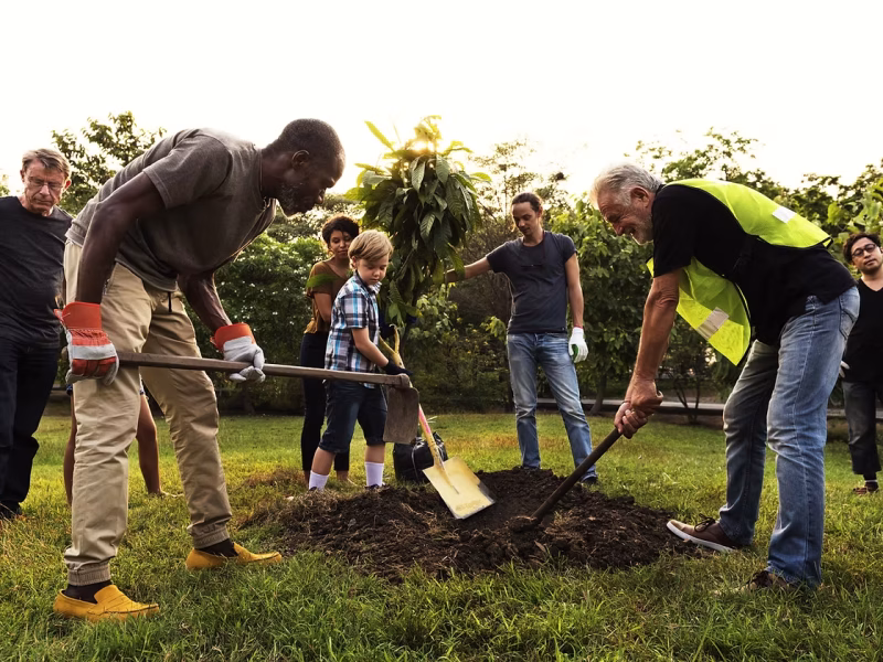 Several people and a child stand in a green field, some bent over with shovels digging holes for trees.