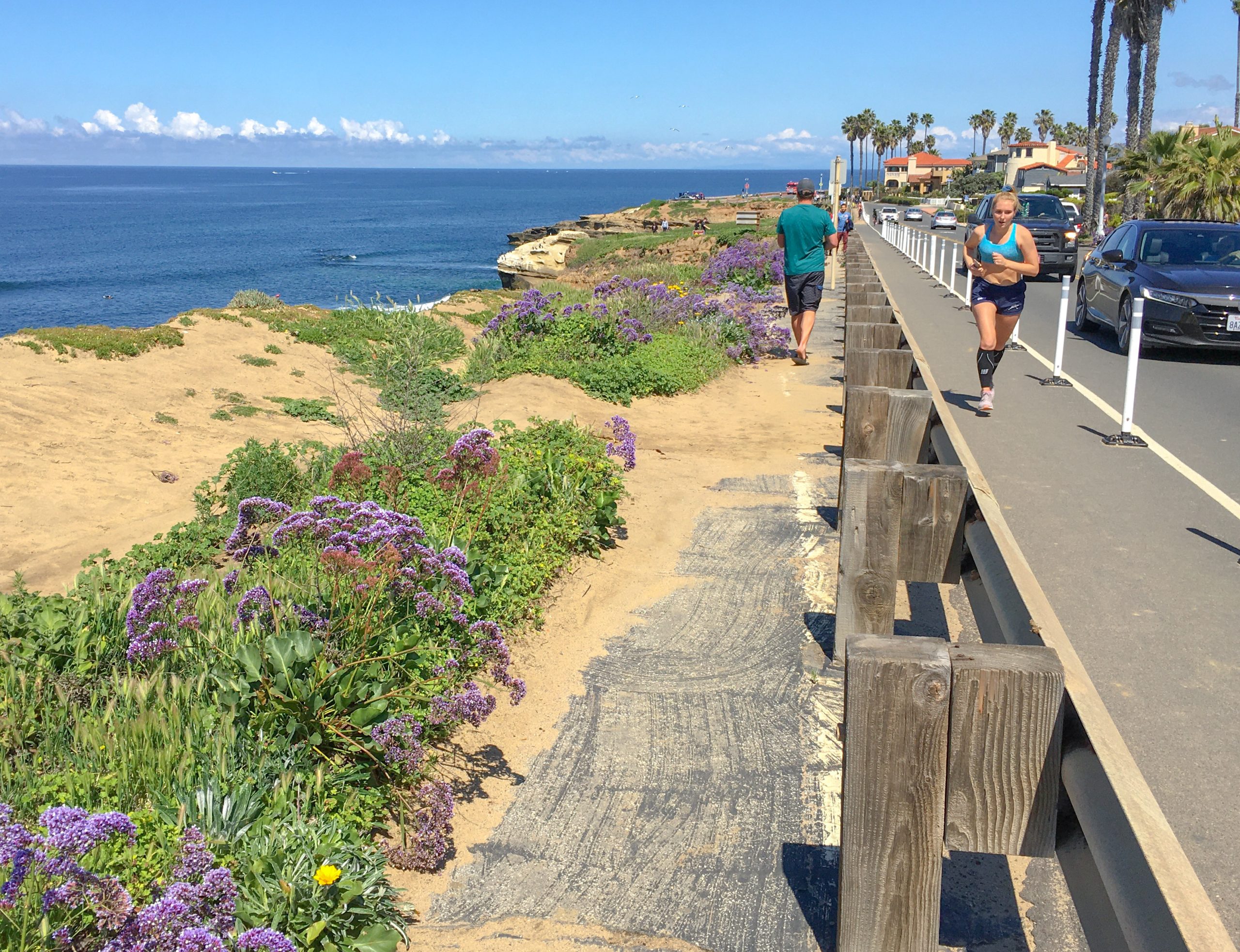Plan to preserve Sunset Cliffs from climate change rattles residents