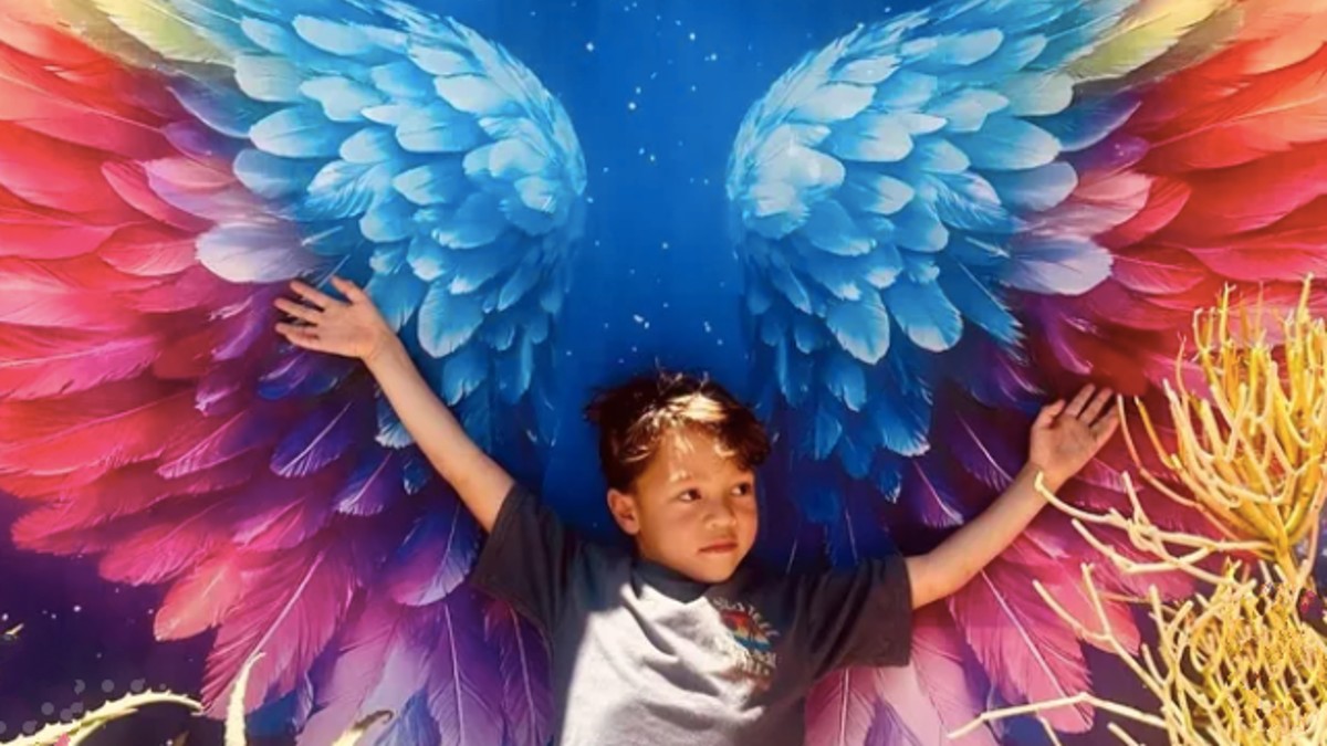 Suspected unlicensed driver pleads not guilty in hit-run death of 6-year-old in PB