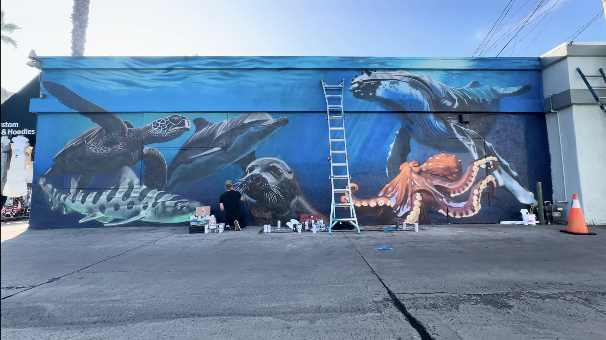 New Wildcoast mural in Pacific Beach highlights marine wildlife