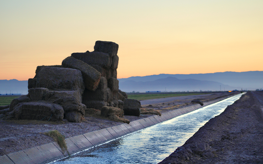 As deadline approaches, Colorado River stewards debate how to share water