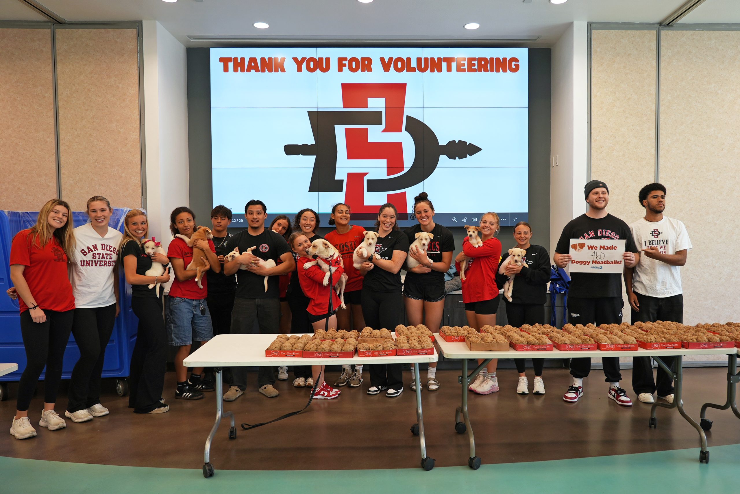SDSU student-athletes provide a helping hand to local pets 