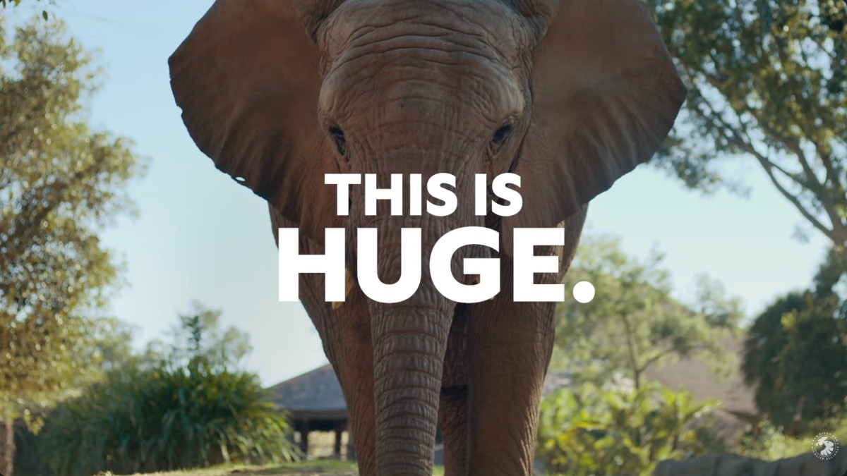 Marketink: The Shipyard launches Safari Park Elephant Valley ad campaign