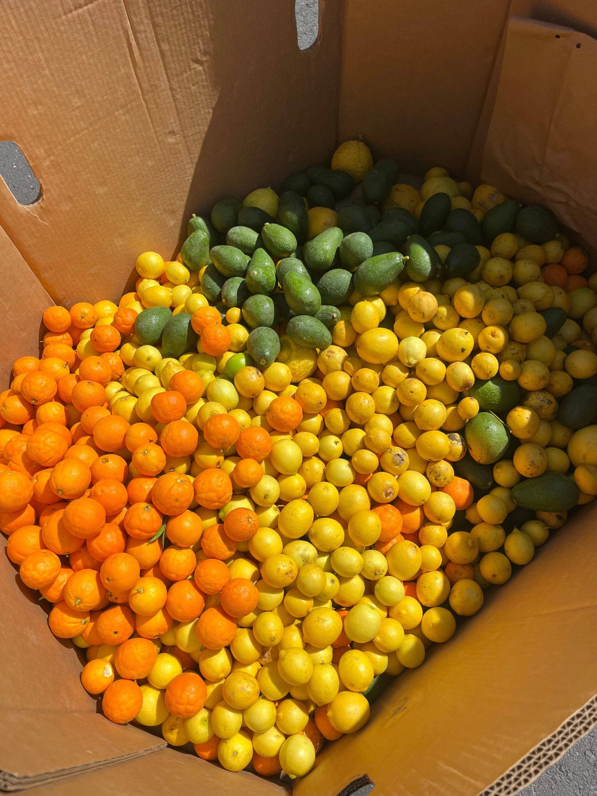 La Mesa produce quarantine disrupts food, climate sustainability efforts&nbsp;
