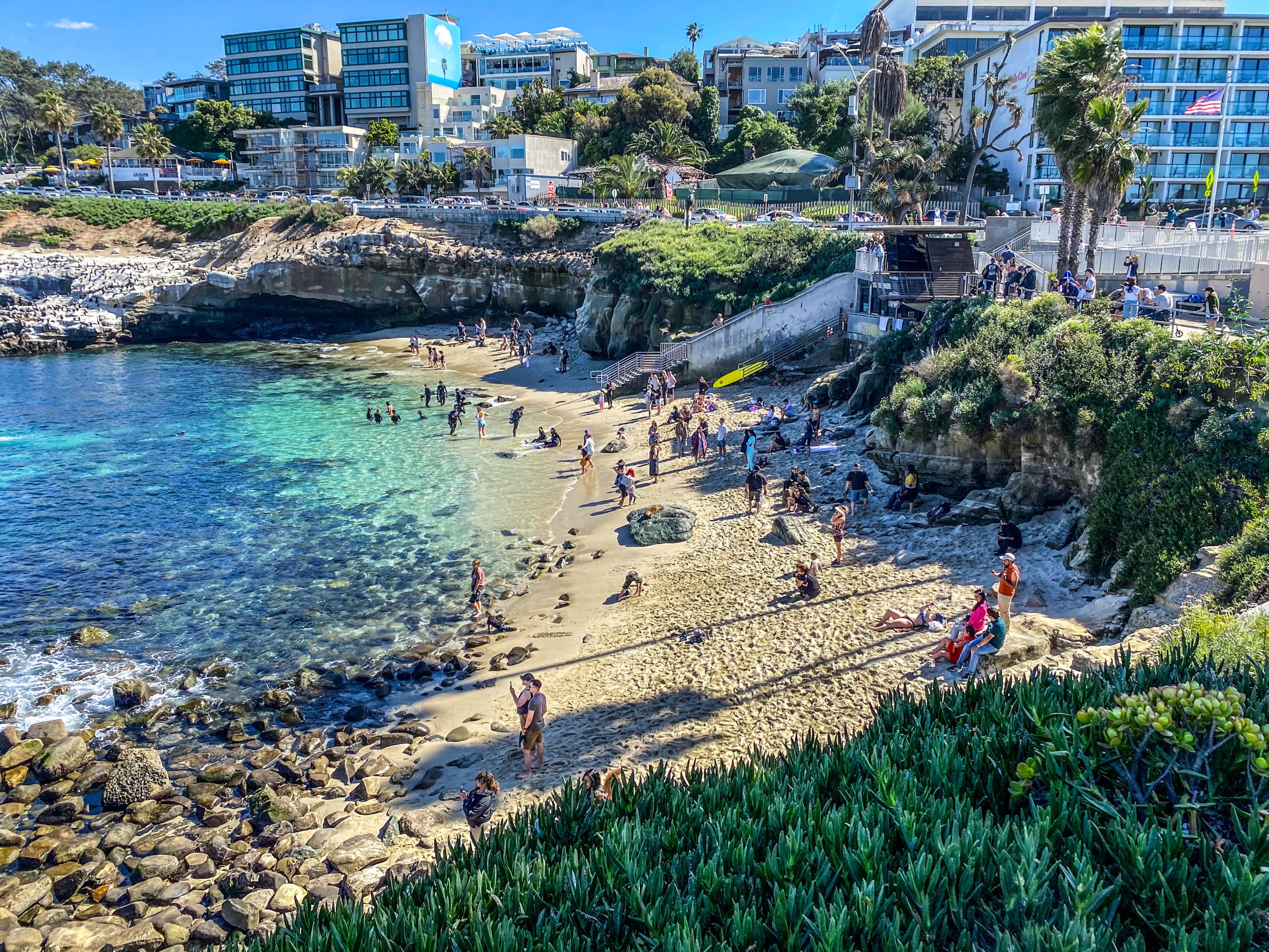 TripAdvisor names La Jolla Cove best beach in United States