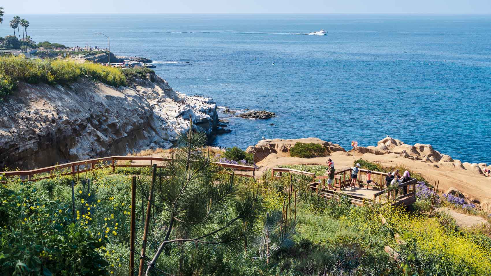 La Jolla planning group moves to grant public access to beach and popular walking trail