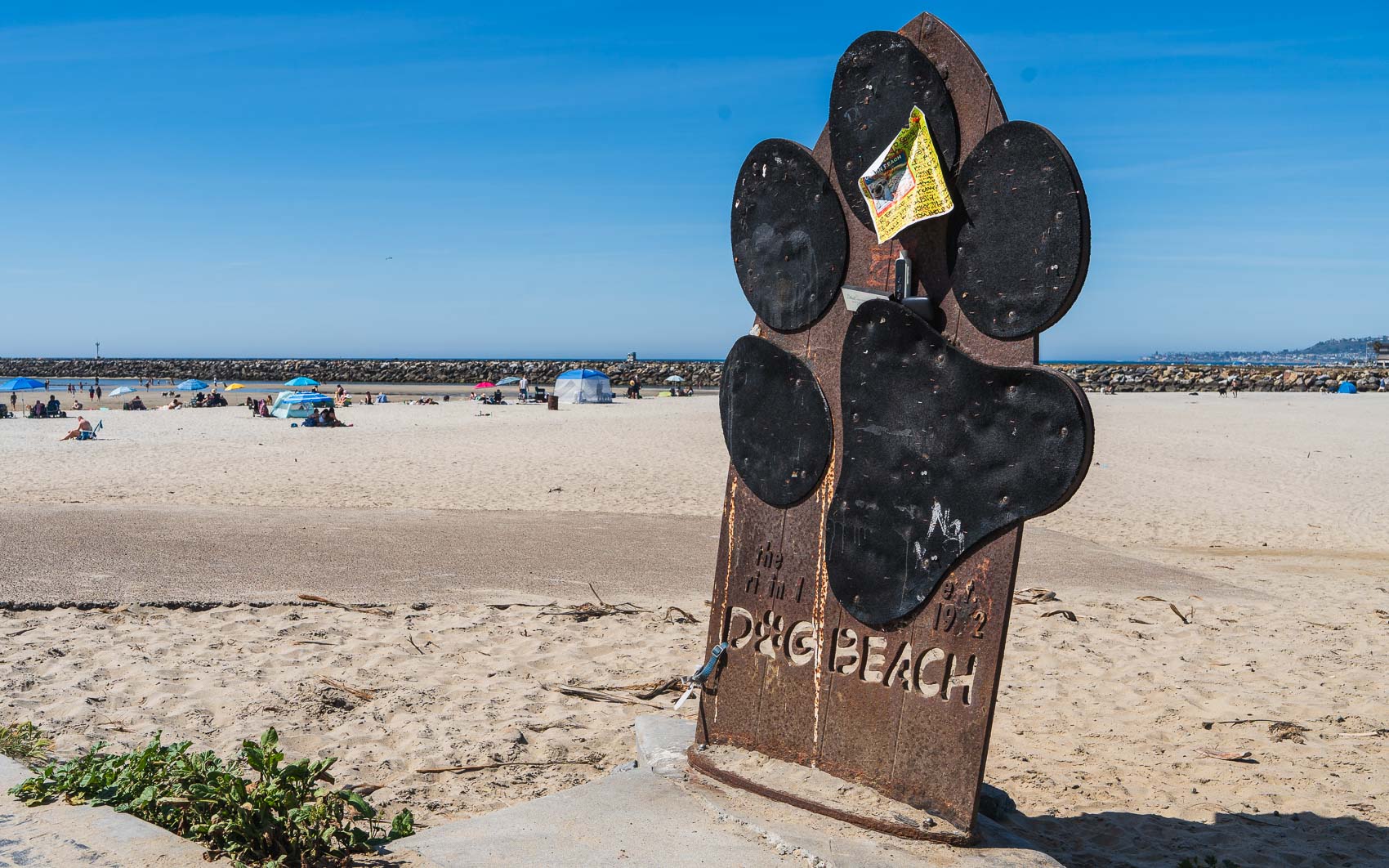 Sewage discharge causes county to close dog area in Ocean Beach