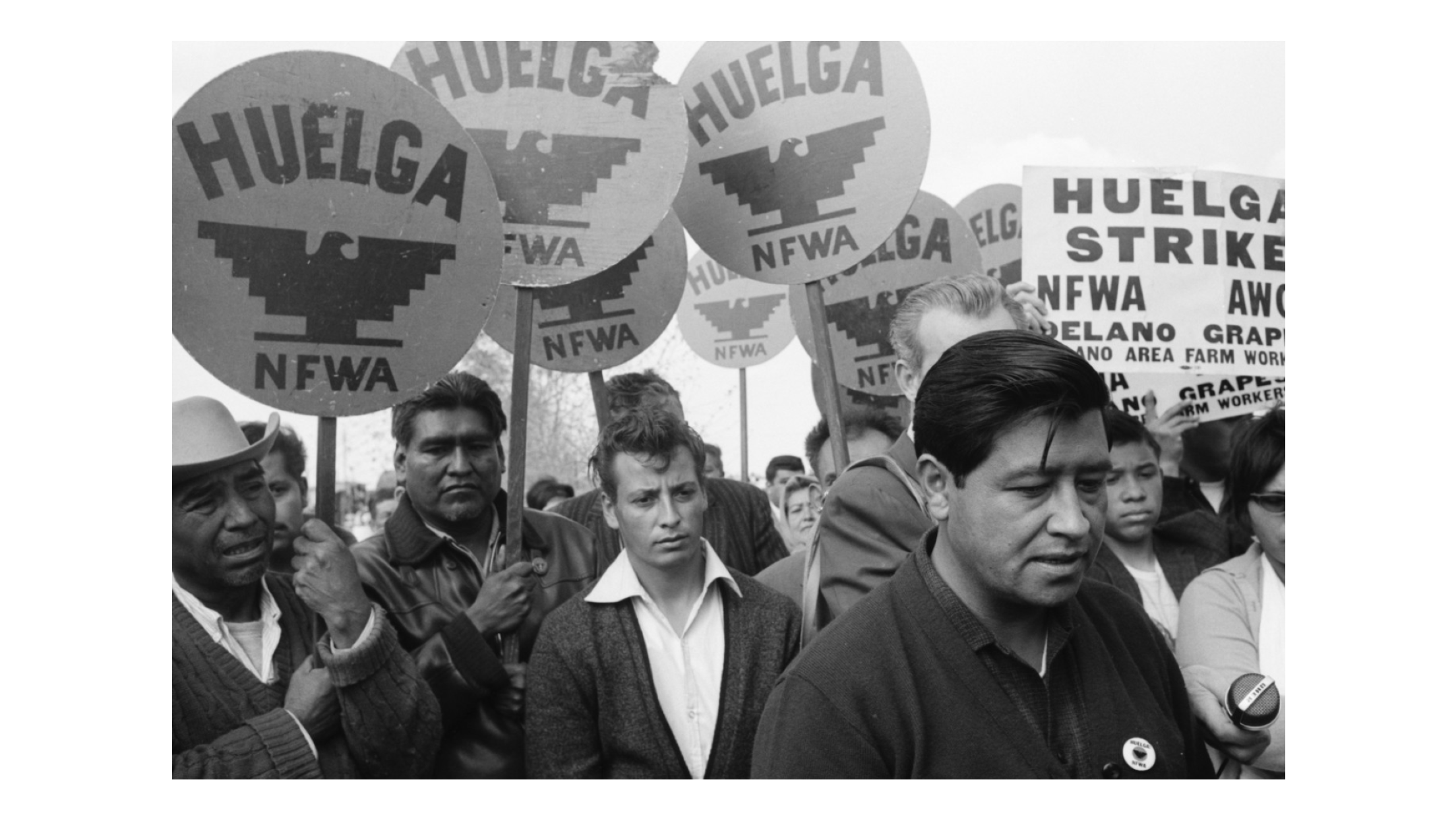 Drop Cesar Chavez name from landmarks, holidays, Congressional Hispanic Caucus says