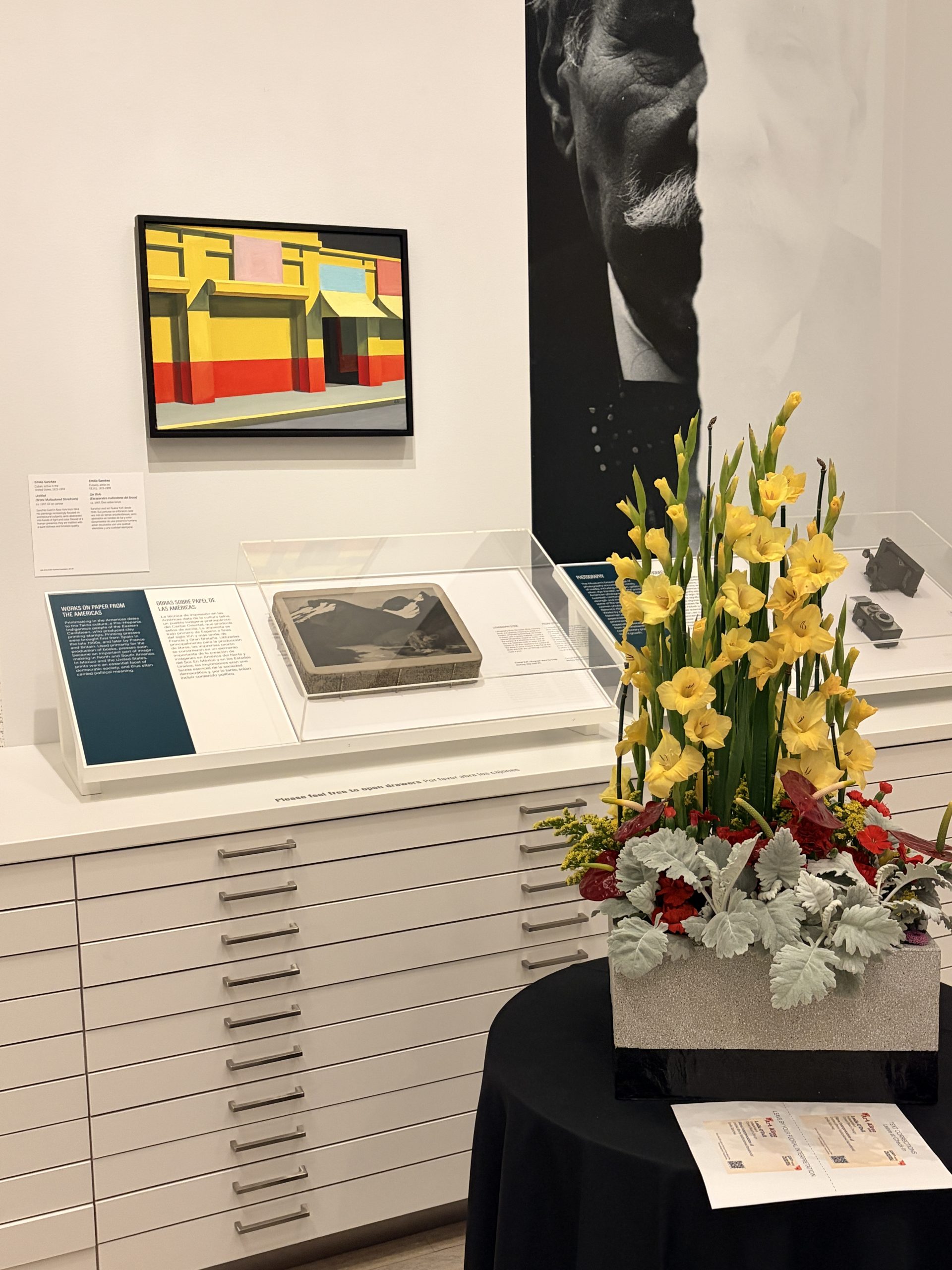 El Museo de Arte de San Diego florece: Un reconocimiento a la creatividad