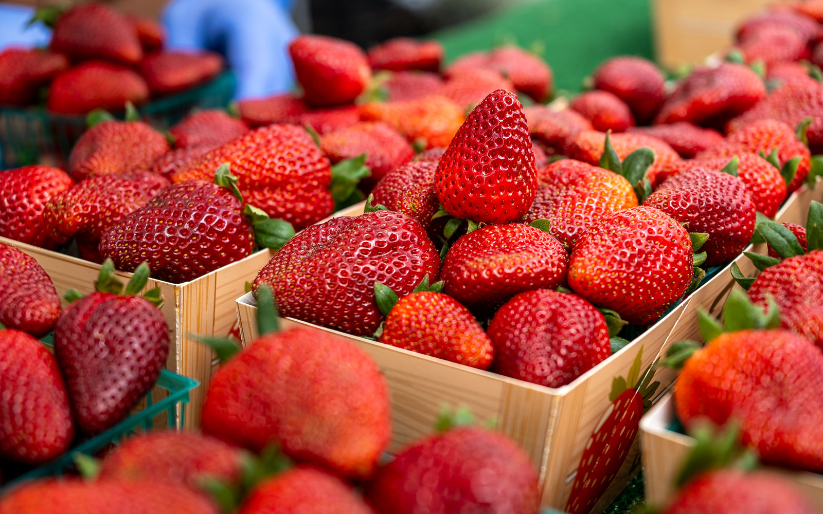 California bill aims to keep toxic PFAS off its crops