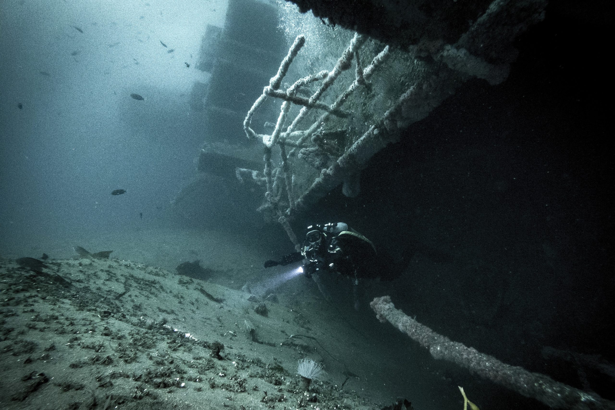 ‘Wreck Alley’ off Mission Beach is a premier West Coast dive spot