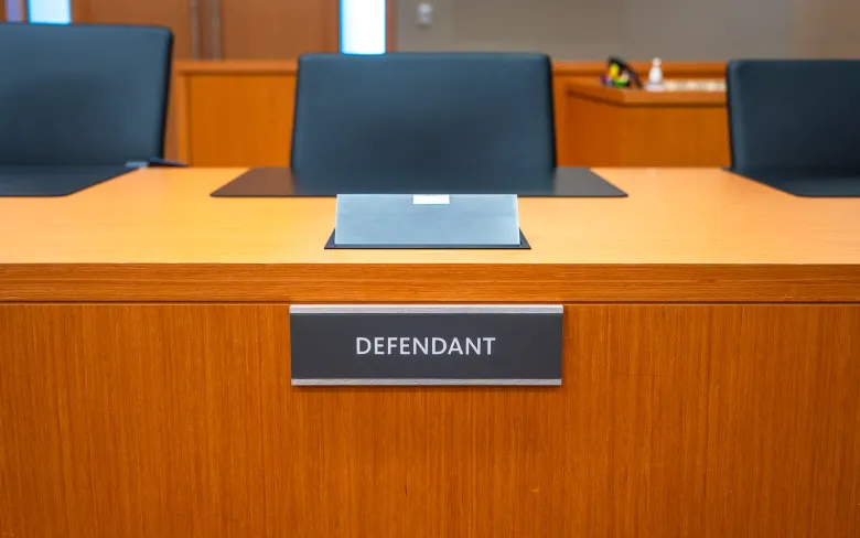 Woman who struck and severely injured a five-year-old girl pleads guilty to felony charges