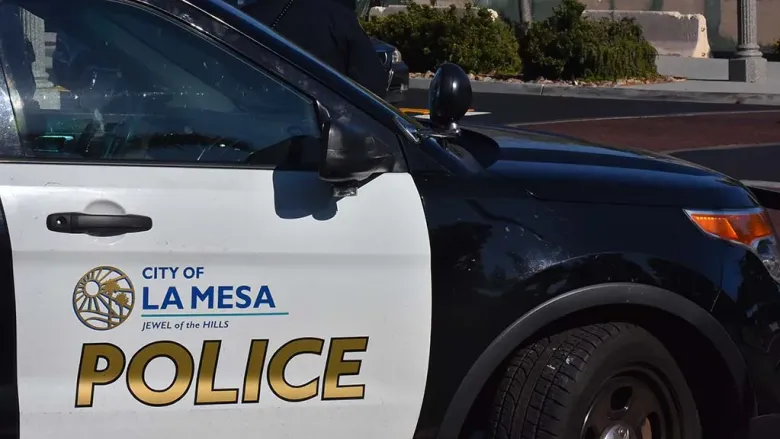 Person of interest in La Mesa assault arrested in downtown San Diego&nbsp;