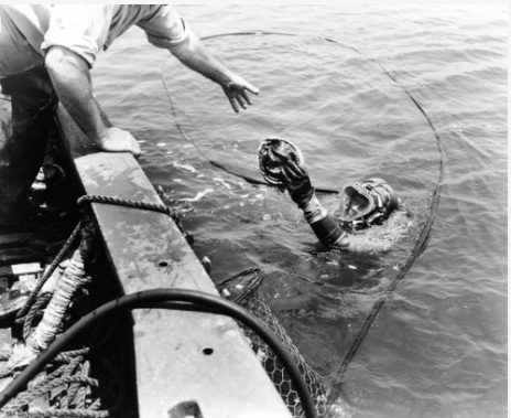 Shell, stone, and sea: The abalone economy that once touched Point Loma’s shoreline