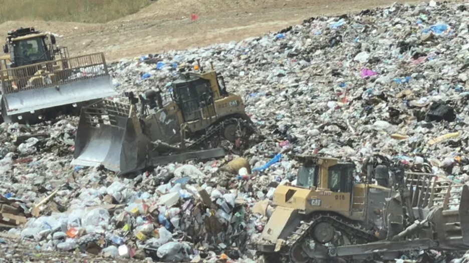 Producen alimentos y ahorran agua con el procesamiento de la basura orgánica