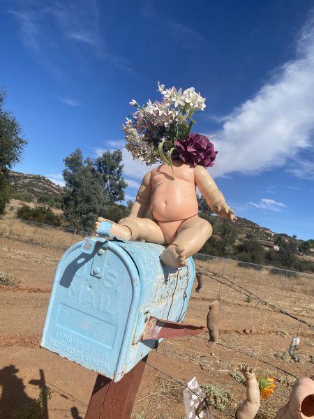 &lsquo;Dead Dolly Lane:&rsquo; San Diego County&rsquo;s creepiest roadside attraction