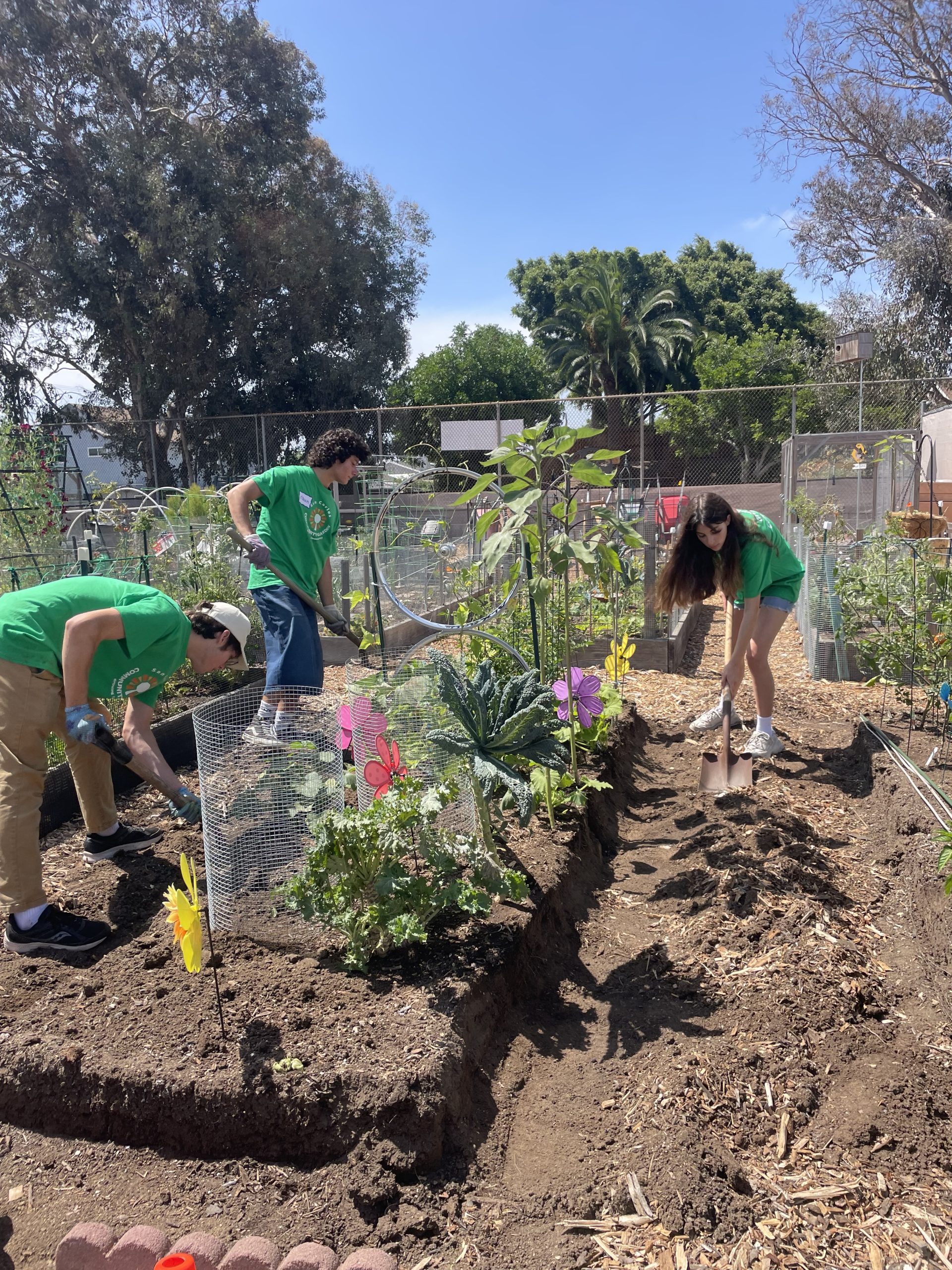 Learning, Leading and Growing: A Summer of Impact at San Carlos Community Garden
