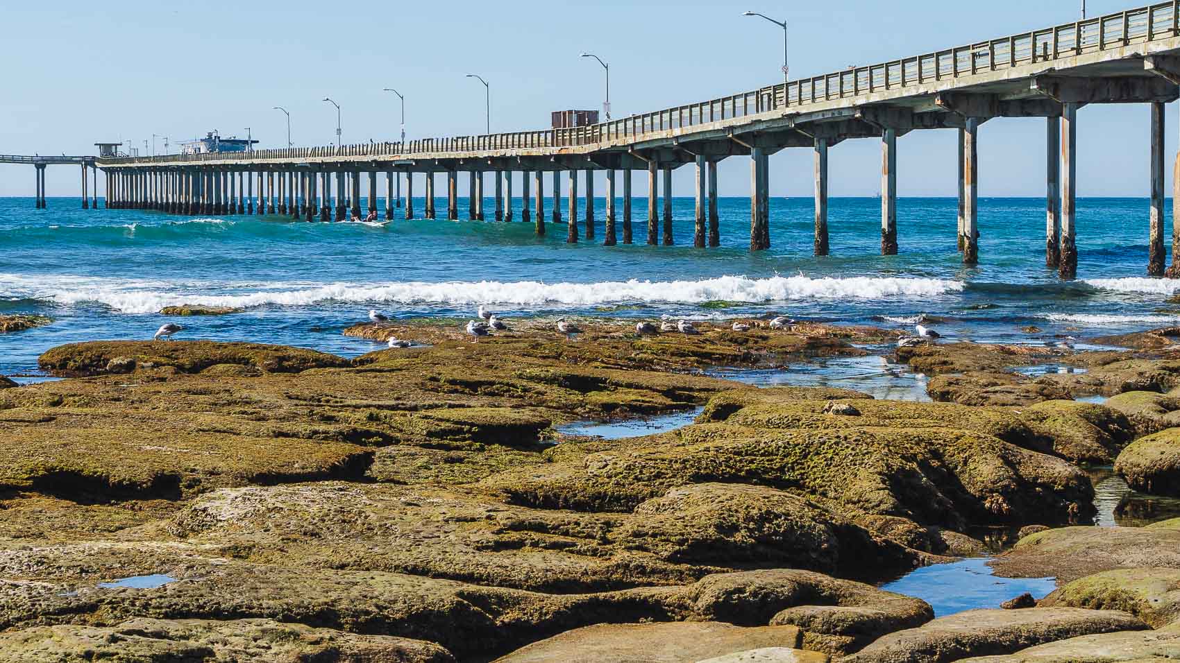 City says Ocean Beach Pier Renewal project in environmental review phase