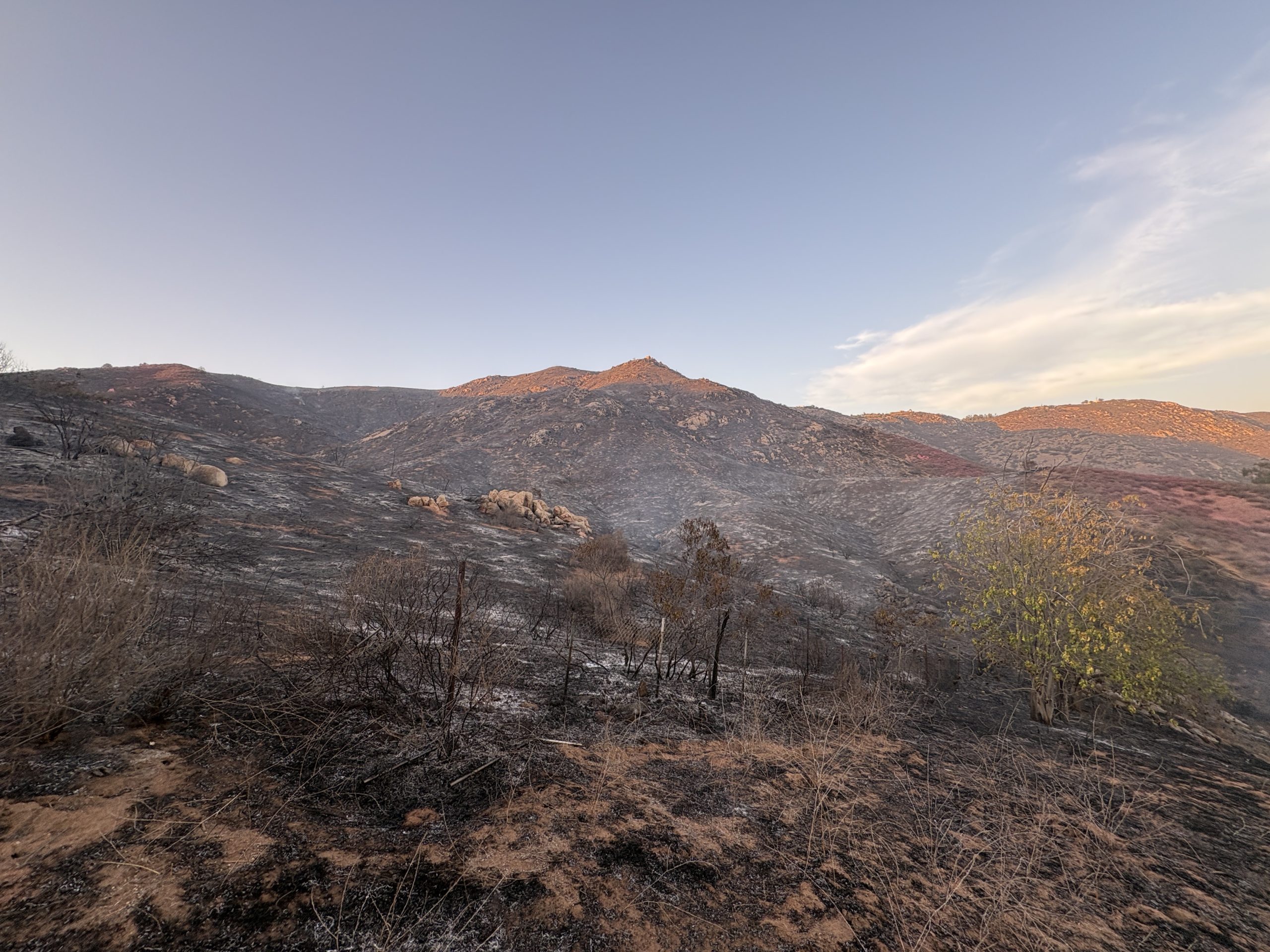 Dehesa 7 Fire now 50% contained, all evacuation orders lifted