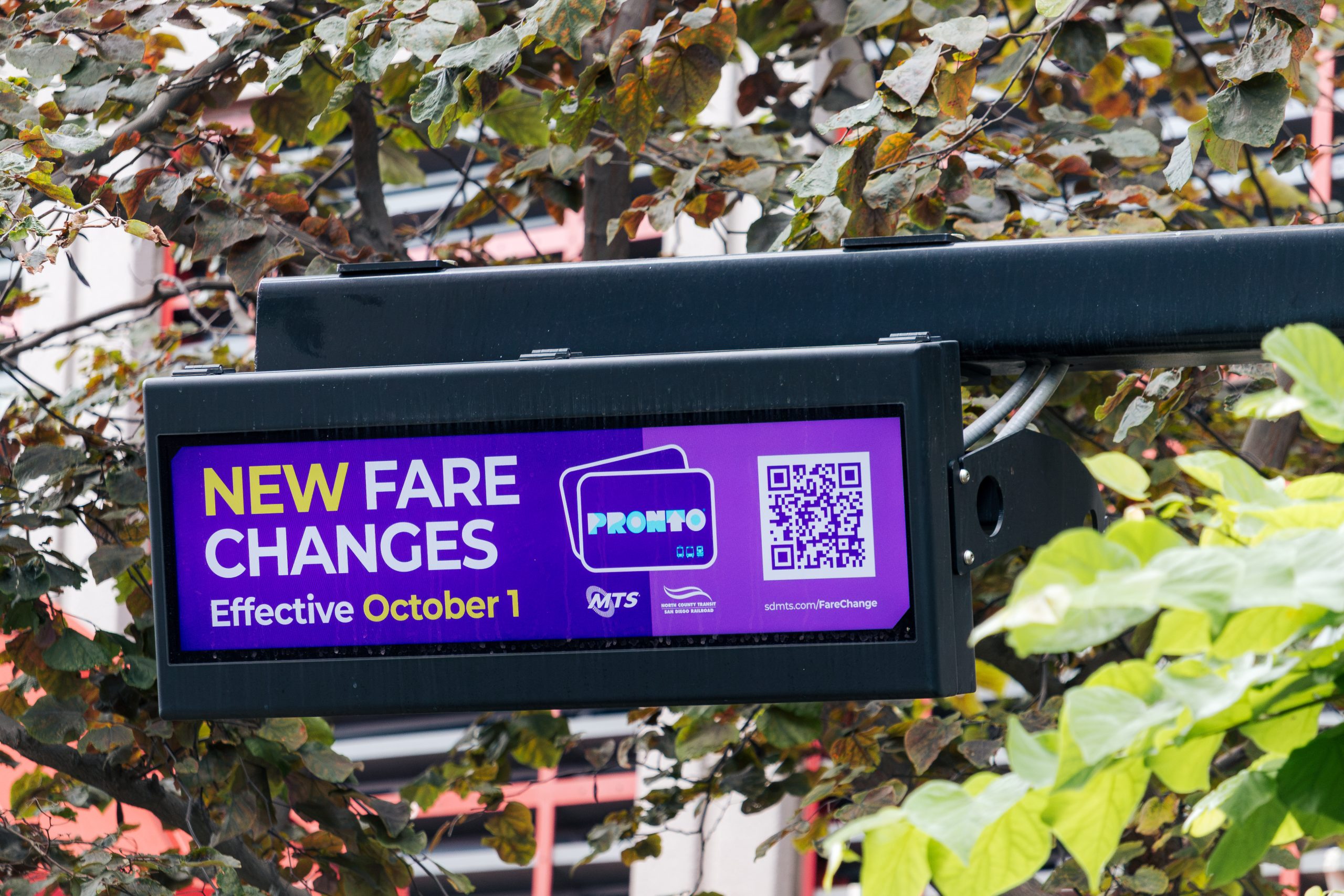 New transit program to 'freeze past prices' for some low-income riders despite fare increase